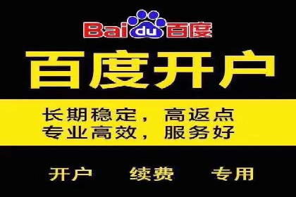 如何在sem百度竞价中实现ROI最大化？——案例分享